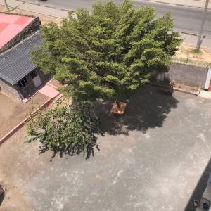 101 Studio Apartment 